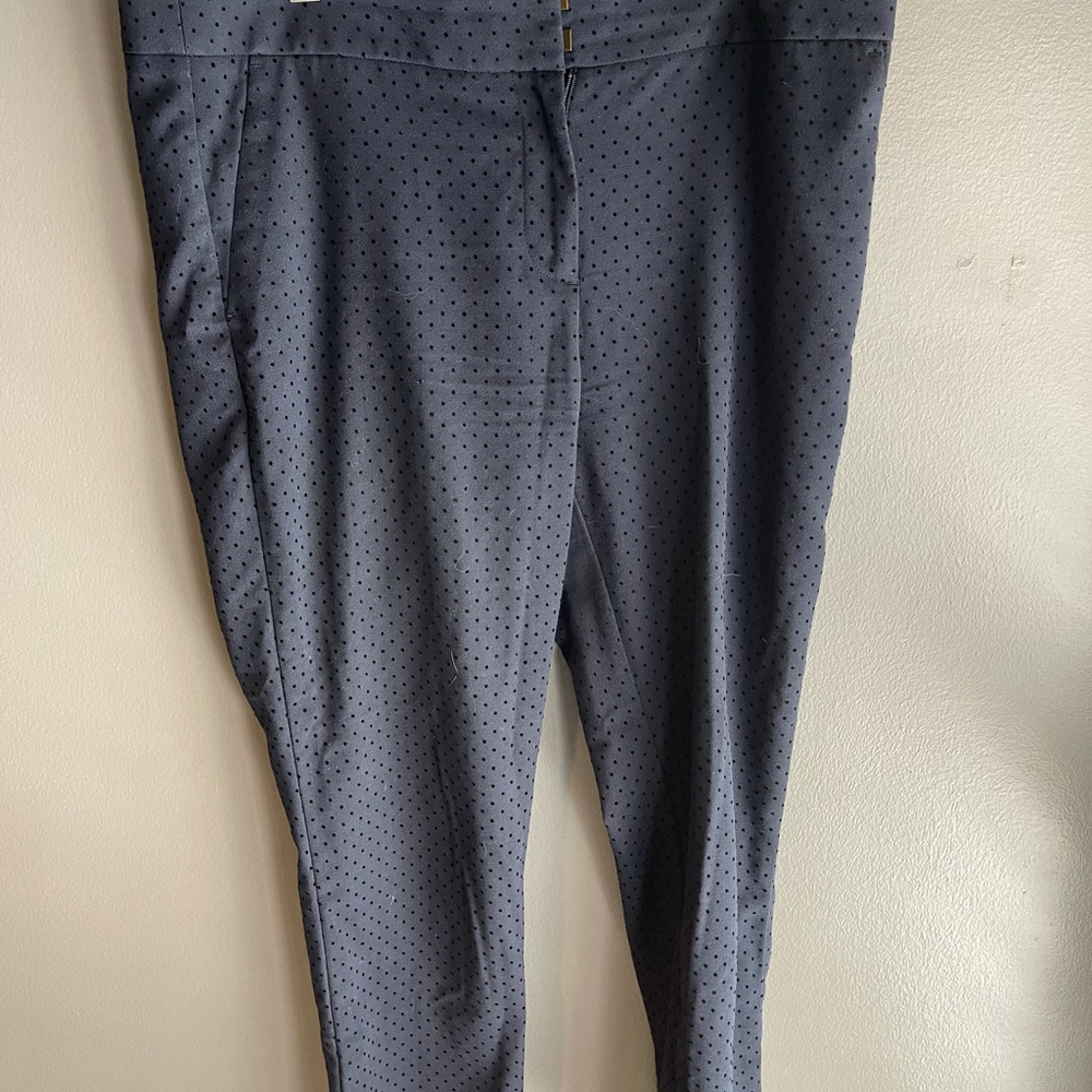 Navy Loft pants with polka dots